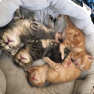 Meet your Posher, Jadelyn